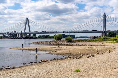 Low water level of the Rhine at Leverkusen, new Rhine bridge on the A1 motorway, extremely low