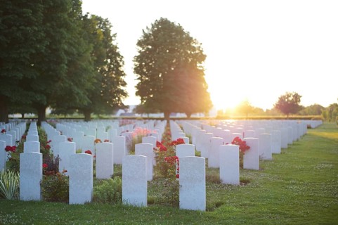 Gravestones, war graves, soldiers' graves, flowers, roses, British and German military cemetery,