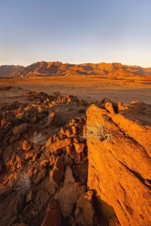 Desert landscape with Brandberg in the morning light, at sunrise, Erongo, Damaraland, Namibia