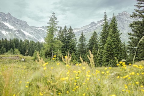 View of Hohe Sonnblick, Kolm Saigurn, Rauris, Pinzgau, Salzburg, Austria