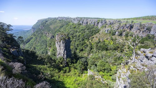 Rock needle in a densely forested canyon, Pinnacle Rock, view over canyon landscape, near Graskop,