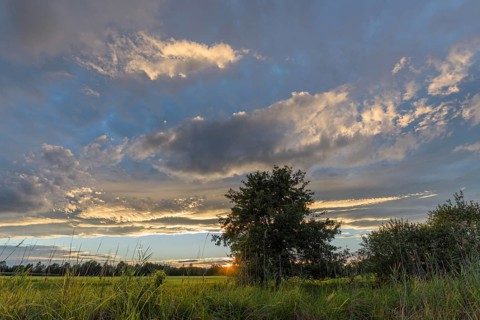 A brilliant sunset illuminates a peaceful field and highlights the vibrant colours in the sky.