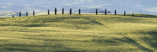 Landscape at sunrise around Pienza, Val d'Orcia, Orcia Valley, UNESCO World Heritage Site, Province