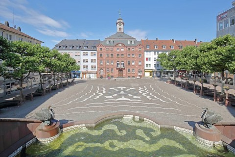 Old town hall built in 1771 and castle fountain by Gernot Rumpf 1984 with two swan figures, bronze
