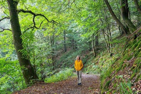 A woman goes for a walk in the forest. A chestnut tree on the left. Small Odenwald, Rhine-Neckar
