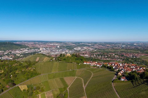 Aerial view of a vineyard with a view of a town and industrial plants in the background, view of