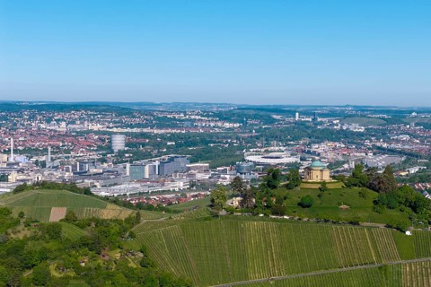 Vineyards and green hill with a building, city panorama in the background, view of the burial