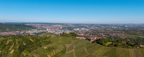 Panoramic view over extensive vineyards with a town and industry in the background, view of