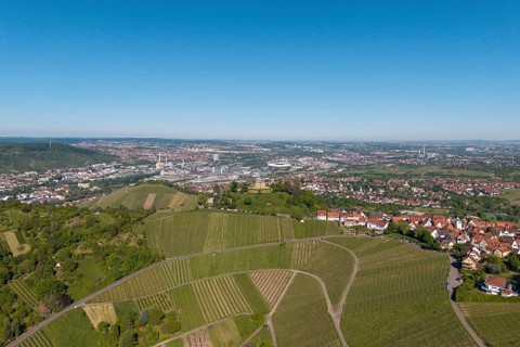 Urban surroundings with vineyards and buildings under a blue sky, view of Rotenberg near Stuttgart