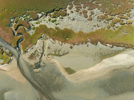 Marshes and streams at low tide in the Walvis Bay Lagoon. Aerial view. Drone shot. Namibia