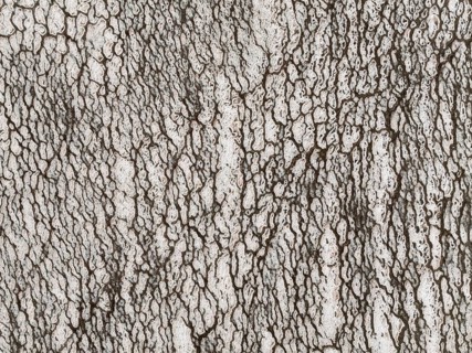 Saline deposits at the salt works of Walvis Bay. Aerial view. Drone shot. Namibia