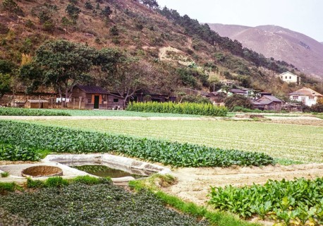 Farmland countryside, Tai Tei Tong village, Silver Mine Bay Mui Wo, Lantua Island, New Territories,