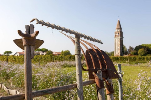 Garden and garden tools on the island of Mazzoboro, Venice, Veneto, Italy