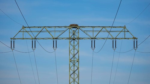 An osprey nest on a power pole, Mecklenburg-Western Pomerania, Müritz region, Germany