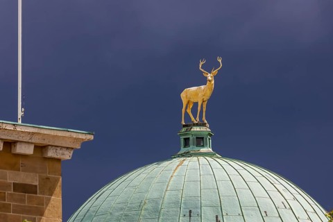 Art building on Schlossplatz designed by architect Theodor fisherman. A golden stag stands on the