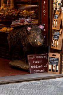 Stuffed wild boar with a basket of salami in front of a delicatessen, San Gimignano, Tuscany, Italy