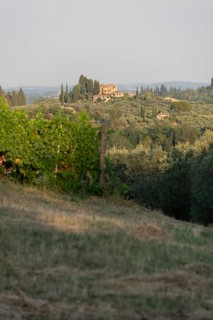 Tuscan country house perched on a hill surrounded by cypresses, olive groves and vineyards, San