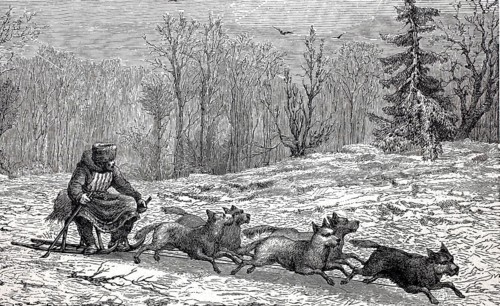 Dog team, dog sled in Northern Europe, digitally enhanced reproduction of a 19th century model,
