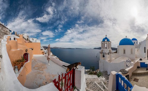 Oia Santorini Greece Cat built in