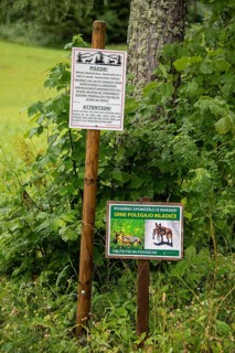 Two signs warn of dangers in a green forest area, Zgornje Jezersko, Gorenjska, Slovenia