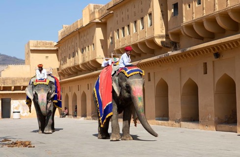 Indian mahouts on colourfully painted elephants in the Amber Fort or fortress, Jaipur, Rajasthan,
