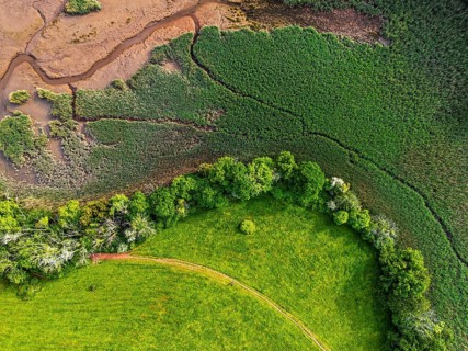 Top Down over Marshes over River Dart from a drone, Stoke Gabriel, Totnes, Devon, England, United