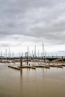 Pauillac, Gironde Estuary, Bordeaux, Gironde, Nouvelle-Aquitaine, France