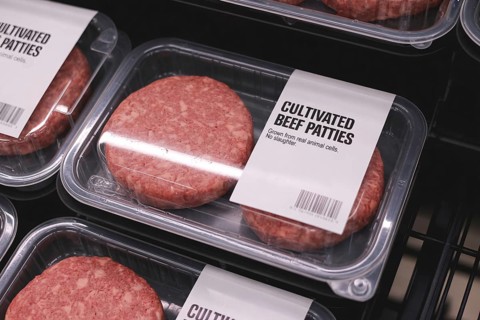 Eef patties in refrigerator at supermarket. Concept of lab-grown artificial meat as sustainable