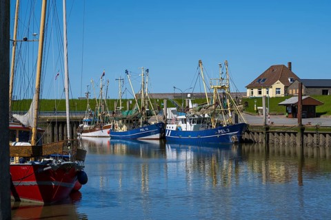 Fishing boats in the harbour of Tammensiel, Pellworm Island, North Frisia, North Sea, North Frisia,