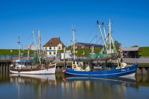 Fishing boats in the harbour, Tammensiel, Pellworm Island, North Frisia, North Sea,