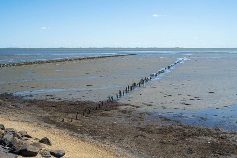 Wadden Sea at low tide, groynes, breakwater, Schleswig-Holstein Wadden Sea National Park, Pellworm