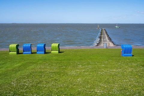 Beach chairs on a blooming meadow on the North Sea coast, Grünstrand, Pellworm Island, North Sea,