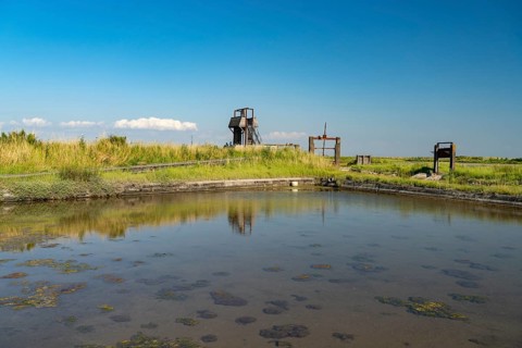 Pointe d'Arçay Nature Reserve in L'Aiguillon-la-Presqu'ile, France
