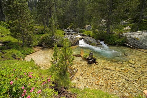 The Riu de Monestero river in the Aigüestortes i Estany de Sant Maurici National Park, Catalonia,