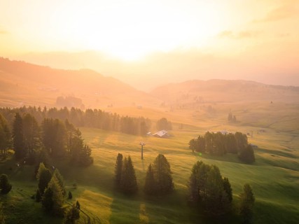 Trees and sunshine on a hilly landscape in a peaceful atmosphere, Alpe di Siusi, Dolomites, South