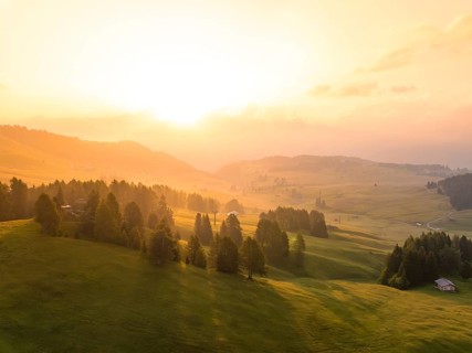 Wide, green landscape with trees and hills in the soft light of the sunrise, Alpe di Siusi,