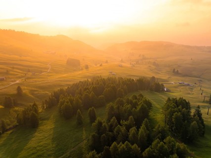Wide valley view with trees in the warm light of the golden hour, Alpe di Siusi, Dolomites, South