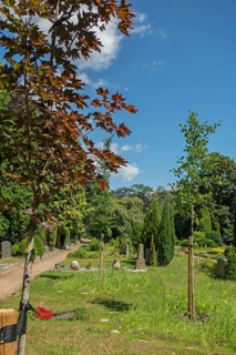Under-tree burial, resting place, accessible place, Lutheran cemetery, Heisfelder Straße, Leer,