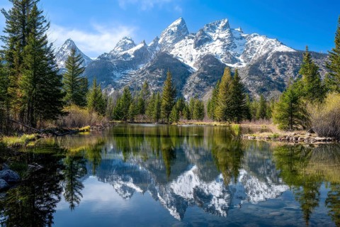 Alpine snow-peaked mountain landscape with trees reflecting in the water of pristine lake, AI