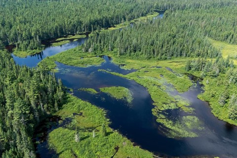 Lake and islands with vegetation, Boreal forest, Mastigouche wildlife reserve, Region of La