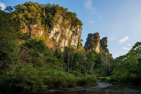 Jungle and rainforest with steep mountains, Khao Sok National Park, Phang Nga, Surat Thani,