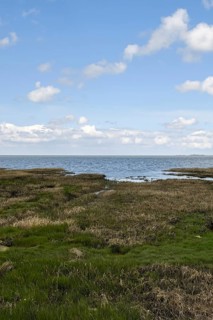 Salt marshes on the North Sea, North Sea coast, dyke foreland between Duhnen, Sahlenburg and