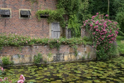 Romantic garden with brick wall, roses and water lilies in the calm water, Haus Welbergen,