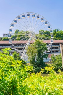 A Ferris wheel stands majestically in the background, surrounded by dense green trees on a sunny
