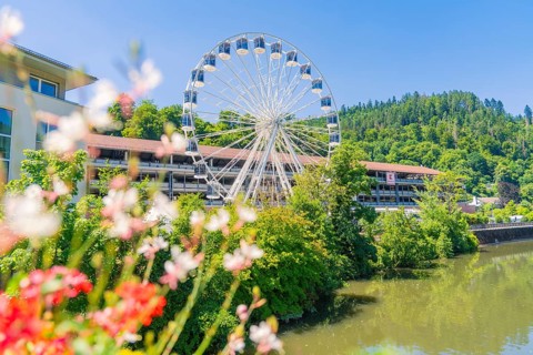 A Ferris wheel towers over a river and colourful flowers, surrounded by dense trees and a clear