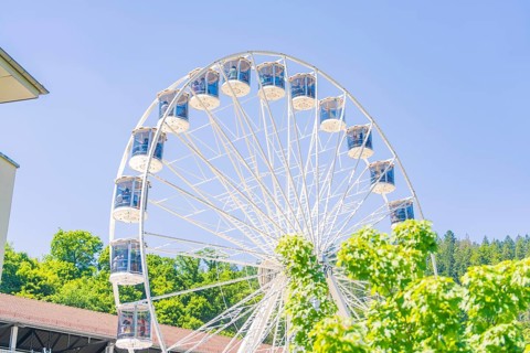 A white Ferris wheel turns in front of a building surrounded by green vegetation on a clear summer