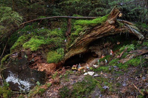 Mysterious cot, Christmas cot in natural surroundings, hidden in the forest, artists have built the