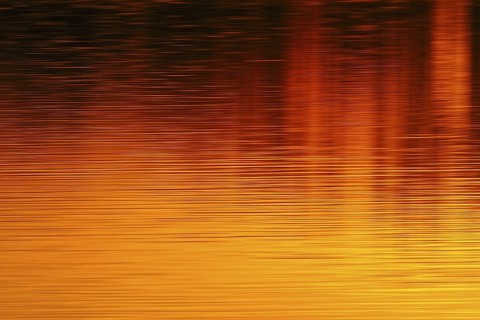Colours of the sun... Sunset on the water (Lower Rhine, North Rhine-Westphalia), yellow red orange