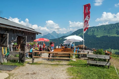 Osterberg Alpe, between Tiefenbach and Riezlern, Oberallgäu, Allgäu, Bavaria, Germany