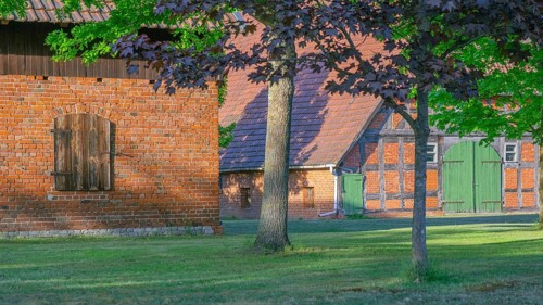 View through a chestnut tree onto a farm, Böhme, Heidekreis, Rethem Aller, Leine Aller Tal, Lower